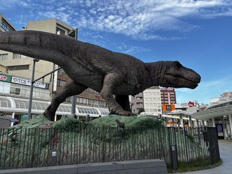 IMG_1993.JPEG